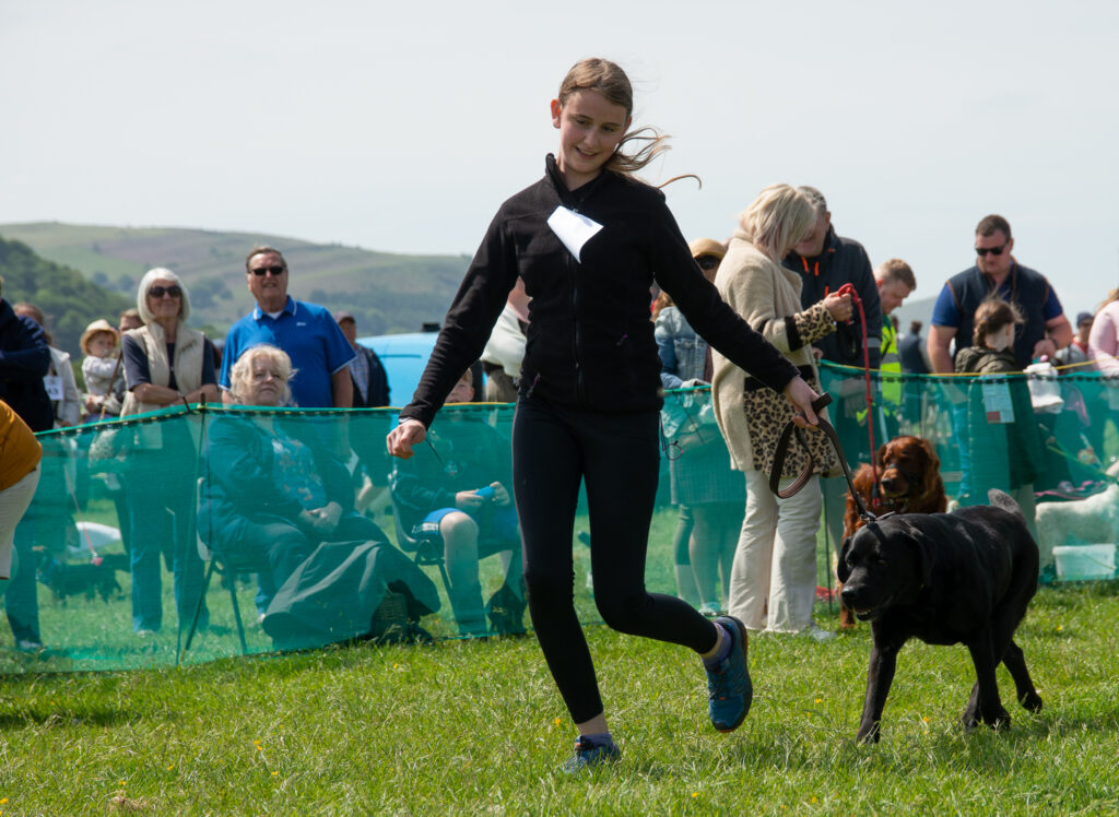 Child with Black Labrador at the dog show